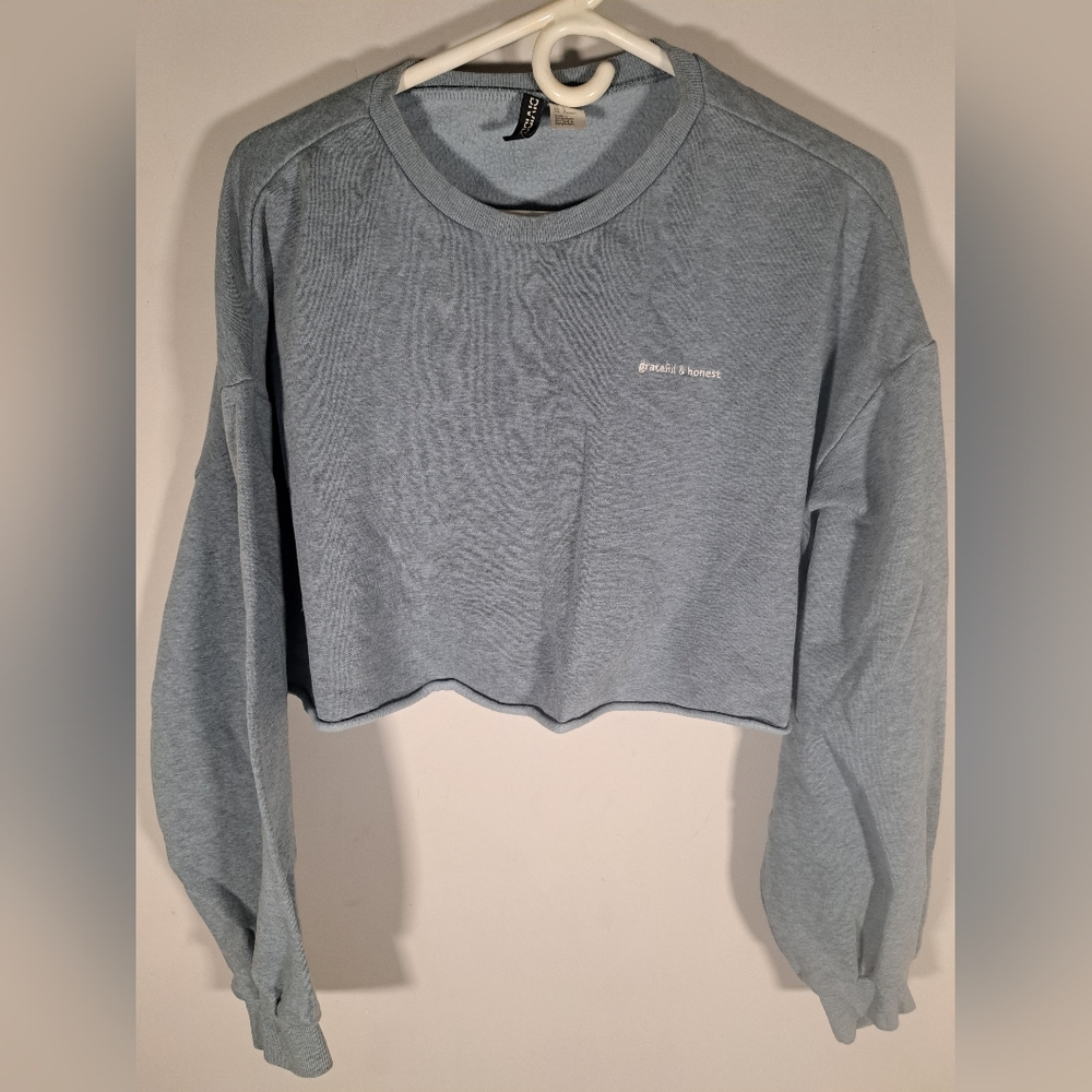 Divided Cropped Dusty Blue Sweater Large